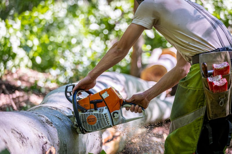 Thread Connectors R 1 2 Pa. loggers and sawmill operators threaten layoffs after Trump tariffs ...