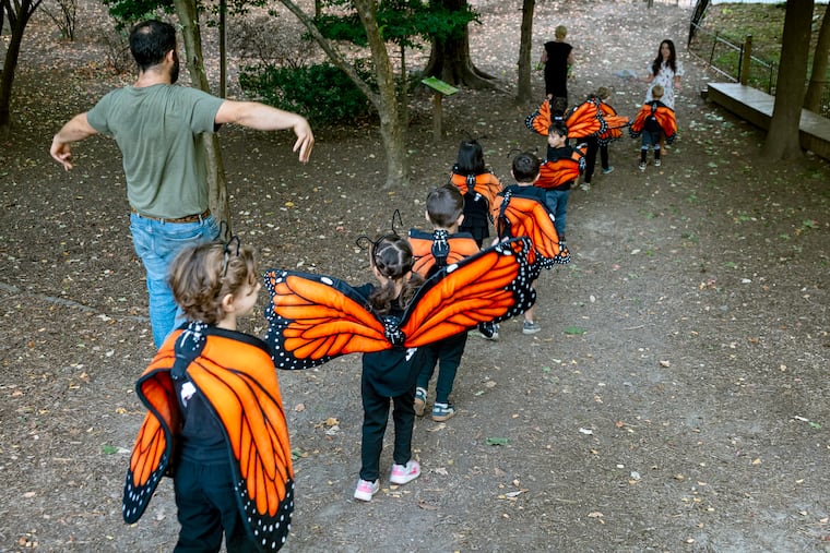 Kindergarten teacher Jacob Kerner reminds his students to flap their wings as they make their way from the classroom to the Friends Meeting House for a butterfly presentation for their families.