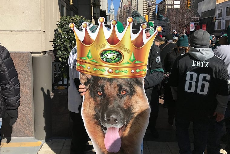 An Eagles fan holds up a “top dog” sign at the 2018 Super Bowl parade.