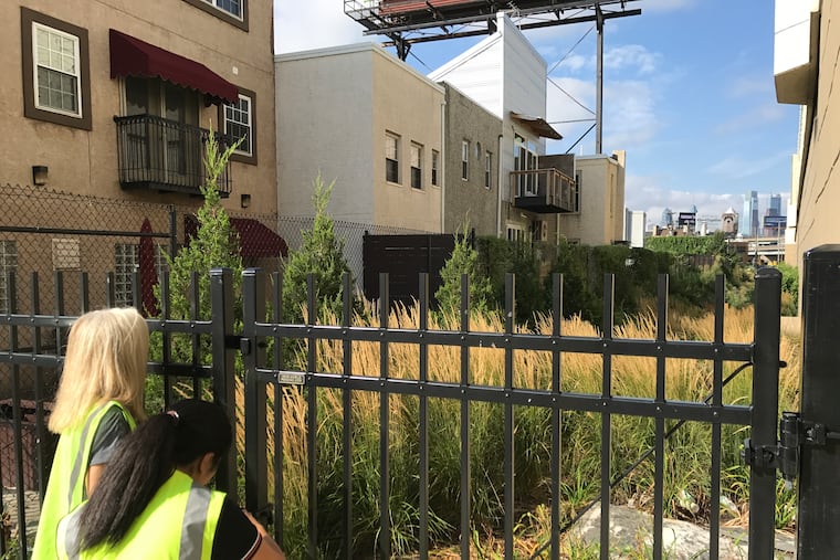 A rain garden in Fishtown that prevents stormwater from entering the sewer system. More environmentally friendly stormwater management, to ensure healthier rivers and creeks, is one goal of Philadelphia's Green City, Clean Waters plan.