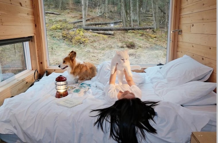 Yuan Yuan Lu chụp ảnh cùng chú chó corgi tên Dundun và chú mèo tên Milk Cap của mình.