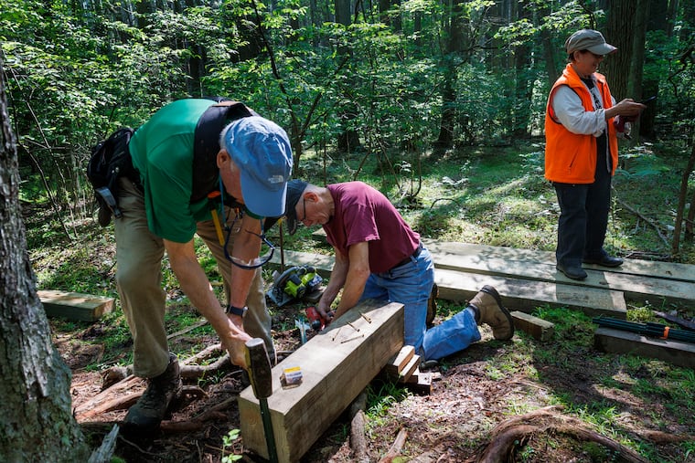 The Outdoor Club of South Jersey and volunteers work to repair hiking trails near Batsto Village in Hammonton, N.J.