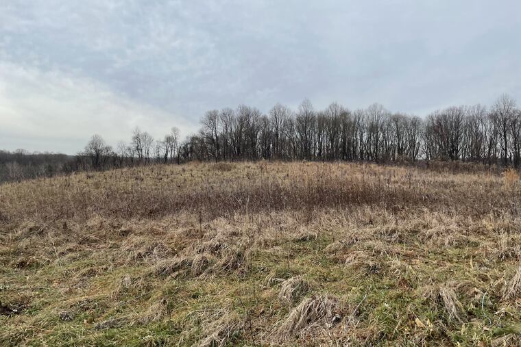 View of a 46-acre tract formerly owned by the Sisters of St. Francis that will become a park in Aston, Pa.