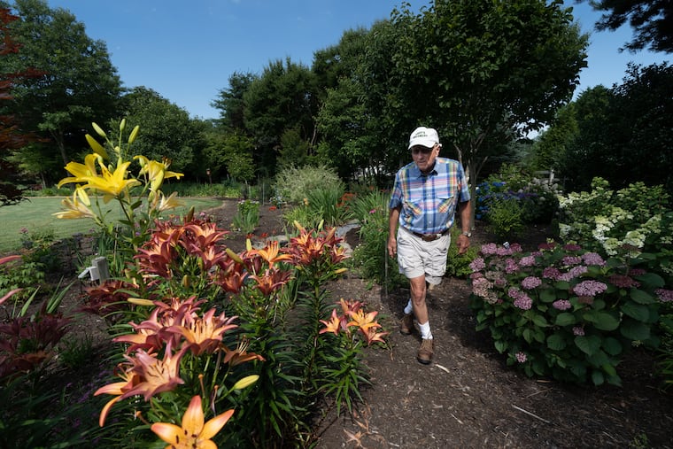 Gary Erb laid out wood chip paths through a former farm field to create a woodland garden bright with flowers adjacent to his home in Downingtown.