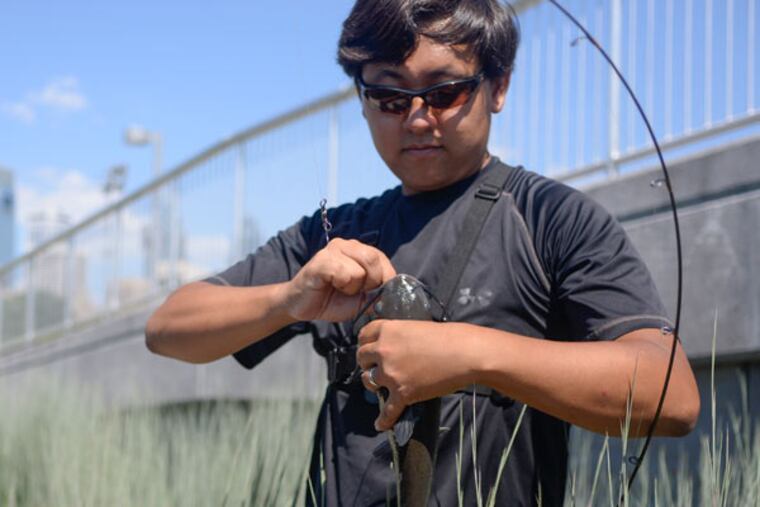Leo Sheng lands a channel catfish during a session with his Extreme Philly Fishing group. (BEN MIKESELL / Staff Photographer)