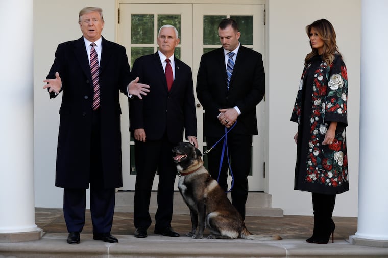 President Donald Trump, Vice President Mike Pence and first lady Melania Trump, present Conan, the military working dog injured in the successful operation targeting Islamic State leader Abu Bakr al-Baghdadi, before the media in the Rose Garden at the White House.