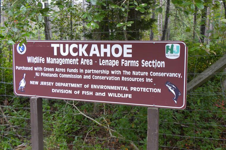 "Our New Jersey forests have been neglected for decades," said State Sen. Bob Smith, (D., Middlesex), a sponsor of the bill Gov. Christie vetoed.