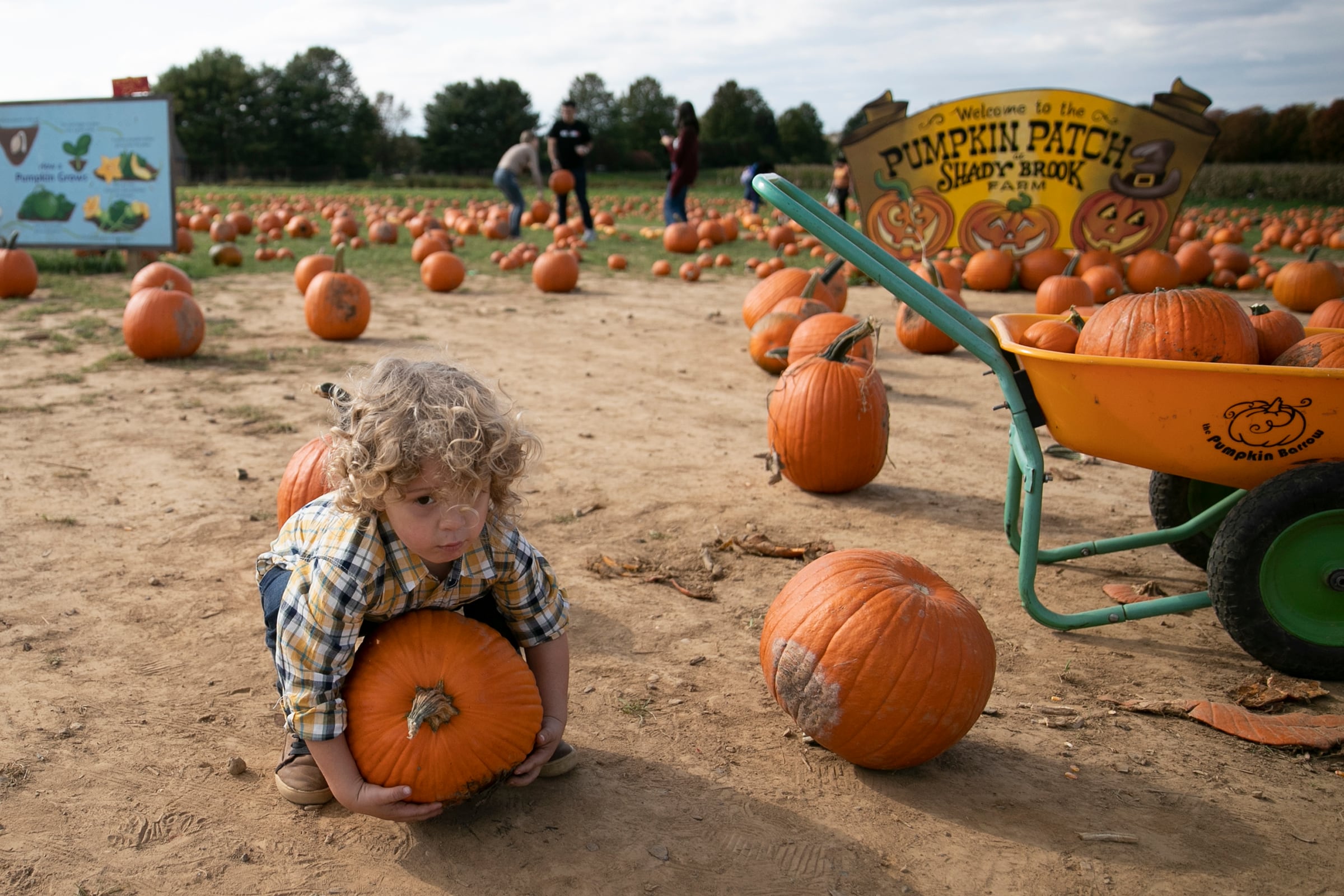 After summer-like heat, a first frost is possible this weekend in the Philly region
