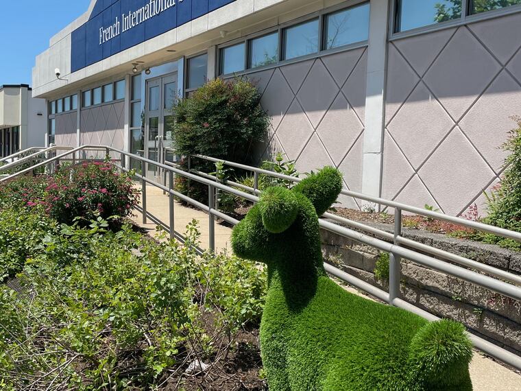 The deer topiary outside the French International School. 