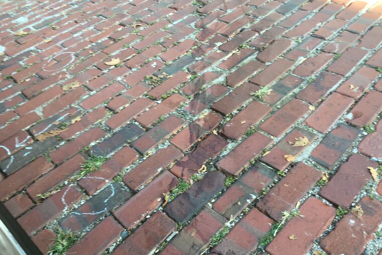 Blood and chalk circles mark where casings were recovered by Philadelphia Police at the scene of the fatal shooting Saturday night on Abbottsford Avenue in Germantown of a Florida man in town to visit relatives.
