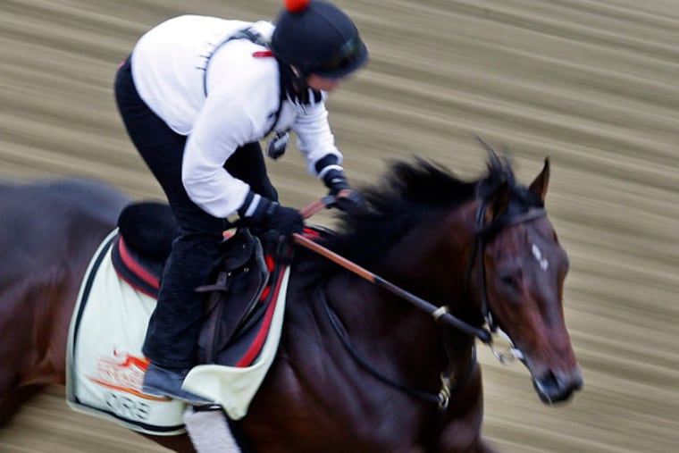 Kentucky Derby winner Orb, with exercise rider Jennifer Patterson aboard, gallops during a workout at Pimlico Race Course in Baltimore, Thursday, May 16, 2013. The Preakness Stakes horse race is scheduled to take place May 18. (Patrick Semansky/AP)