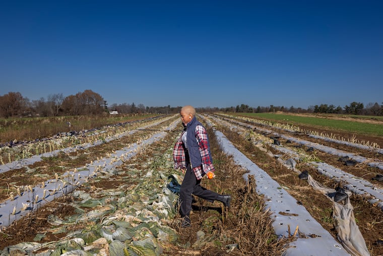 Food is health. Localize its production and distribution.