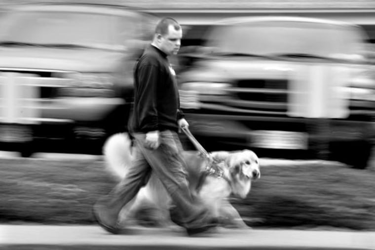 Paul Sullivan, 25, with his new guide, Bravo , while on a training session for the Seeing Eye in Morristown. Sullivan's previous guide dog, Edward, a black Lab, was killed by a car on Memorial Day.