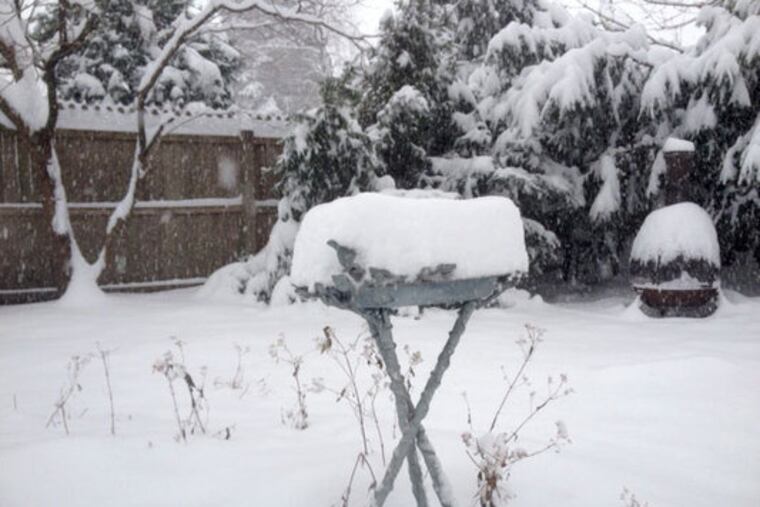 Snow piles up in a birdbath two hours after it started falling in Haddon Heights, N.J.