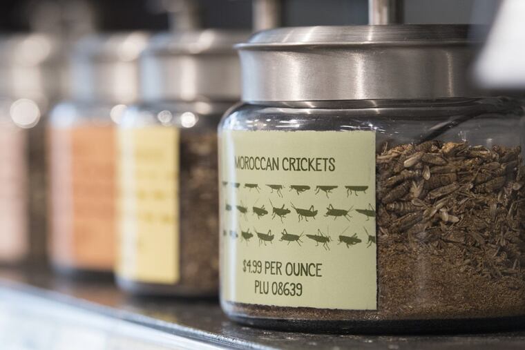 Moroccan crickets are shown at the "sustainable protein" aisle at the Mom's Organic Market, 34 S. 11th St, Philadelphia. Thursday, March 22, 2018. Local farming and organic food experts say it's because of the high concentration of farms here, greater demand from people who want to eat healthy, and regulations that have made organic farming more affordable over the years.
