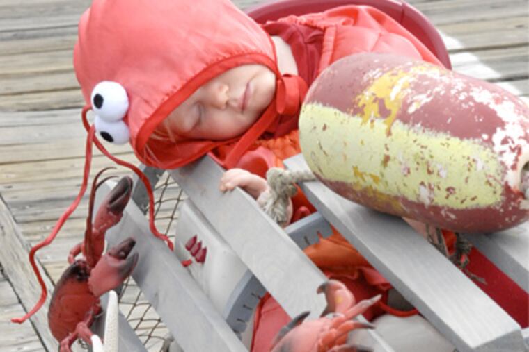 The 100th annual Ocean City Baby Parade. Here, fourteen-month old Evelyn Brewer of Oley, Pa. is one very tired lobster. ( April Saul / Staff Photographer )