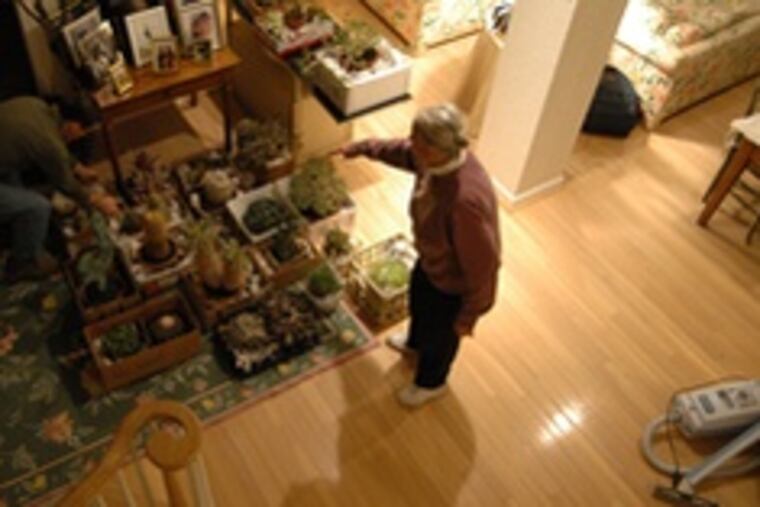It's 4 a.m. and Sylvia Lin is revving , above, ready to pack up three carloads of entries for the Flower Show, below. Her efforts over the last 30 years or so have made her part of show lore and reaped masses of awards - 236 ribbons last year alone.