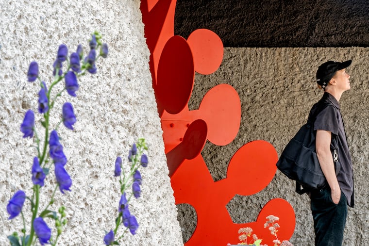 A guest views Alexander Calder sculptures outside in the Vestige Garden, at Calder Gardens on the Benjamin Franklin Parkway Monday, Sept. 15, 2025, during a preview ahead of next week’s opening to the public. A portion of “Knobs” (1976) is at center.