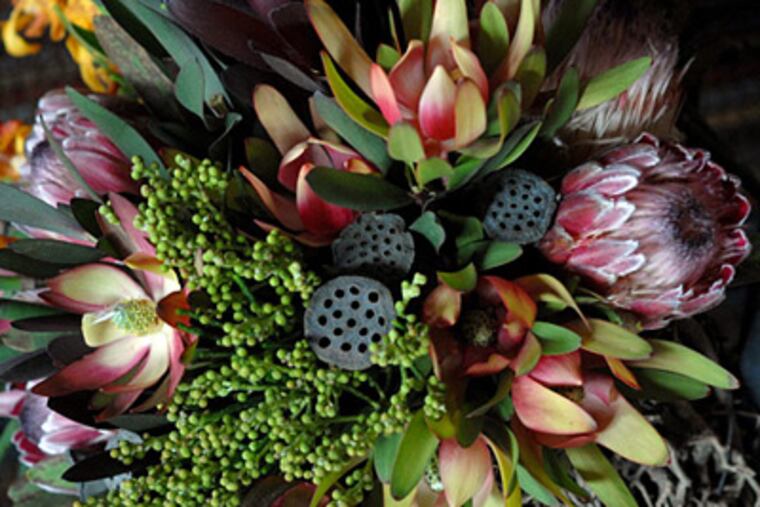 The 2010 Philadelphia Internationl Flower Show's theme is "Passport to the World." Here, a floral selection from South Africa. ( April Saul / Staff Photographer )
