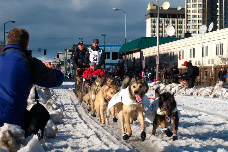 FILE - In this March 7, 2015, file photo, musher Peter Kaiser, of Bethel, Alaska, leads his team past spectators during the ceremonial start of the Iditarod Trail Sled Dog Race, in Anchorage, Alaska. There's a new leader in the Iditarod Trail Sled Dog Race after the dogs on Petit's team quit on him. Alaska musher Pete Kaiser passed Petit and was the first musher to reach the checkpoint in Koyuk Monday, March 11, 2019.