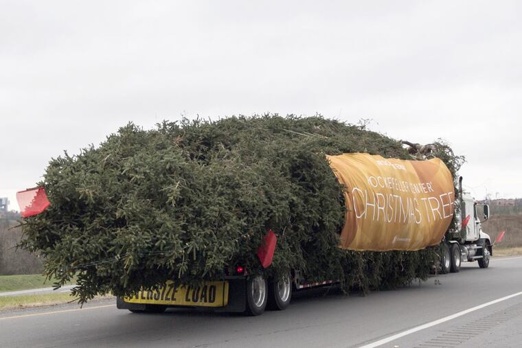 With a banner and a strand of holiday lights, the 75-foot Norway Spruce off to Rockefeller Center on Thursday, Nov. 9, 2017. (Abby Drey/Centre Daily Times/TNS)