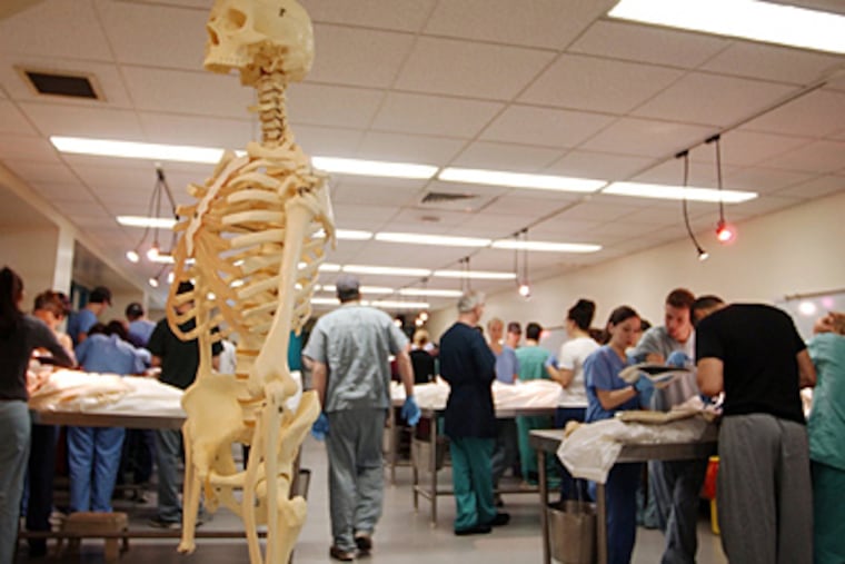 First-year medical students perform dissections at Drexel University College of Medicine in this file 2005 file photo. (David Swanson/Staff)