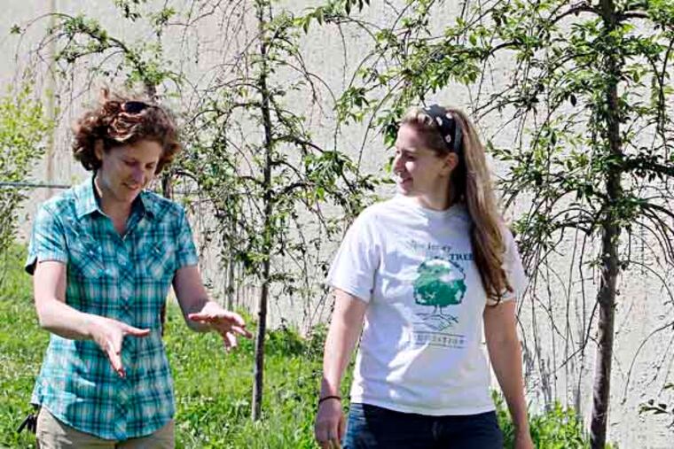 JRIORDAN06 --The NJ Tree Foundation and its decade-long effort to restore the "Camden Canopy" -- the city's tree cover.
Beth McMillan (left) , Community Chef at the Neighborhood Center and Jessica Franzini
, Program Dir. of NJ Tree Foundation are chatting about projects along side of planted weeping Cherry Trees at the Neighborhood Center.
June 4, 2013( AKIRA SUWA / Staff Photographer )