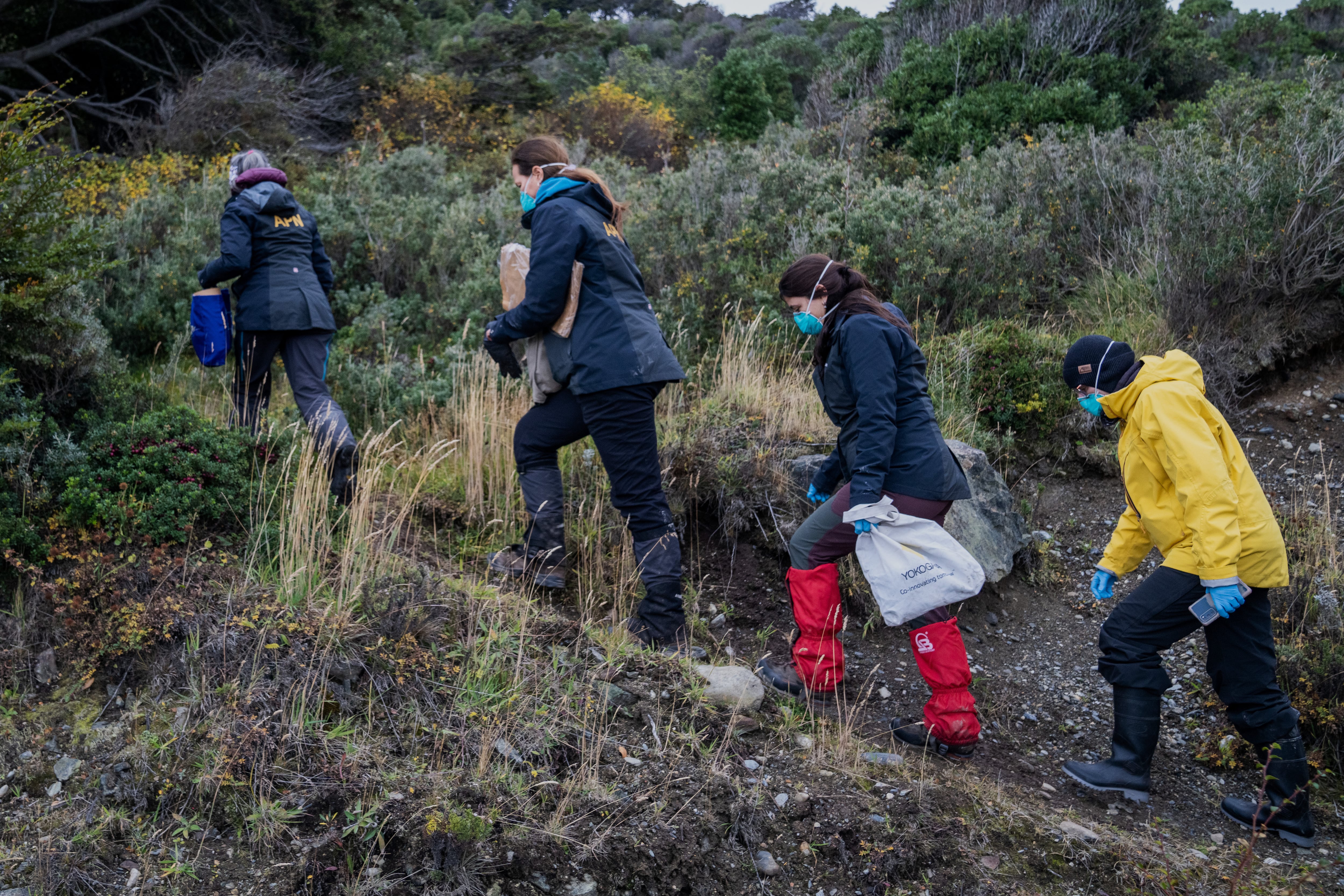 Argentina expands hantavirus investigation with rodent-trapping teams in Mendoza province