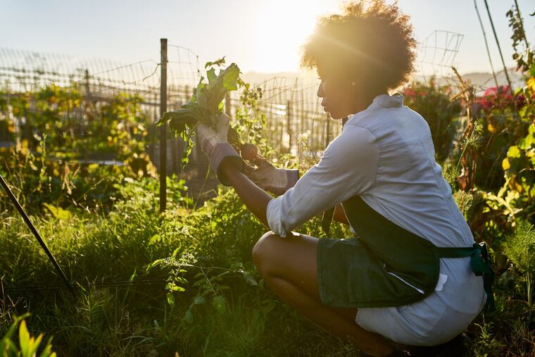 Gardening is great, and great exercise.