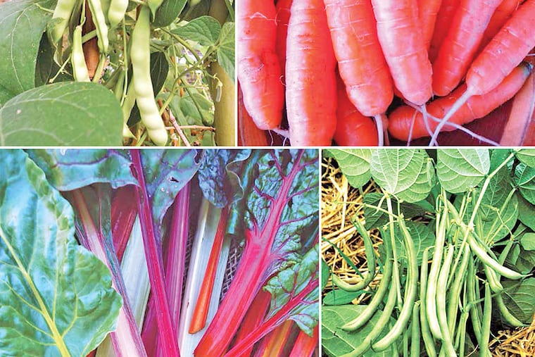 Photos from "Monet's Palate Cookbook" by Aileen Bordman and Derek Fell. (Photographs by Derek Fell and Steven Rothfeld)