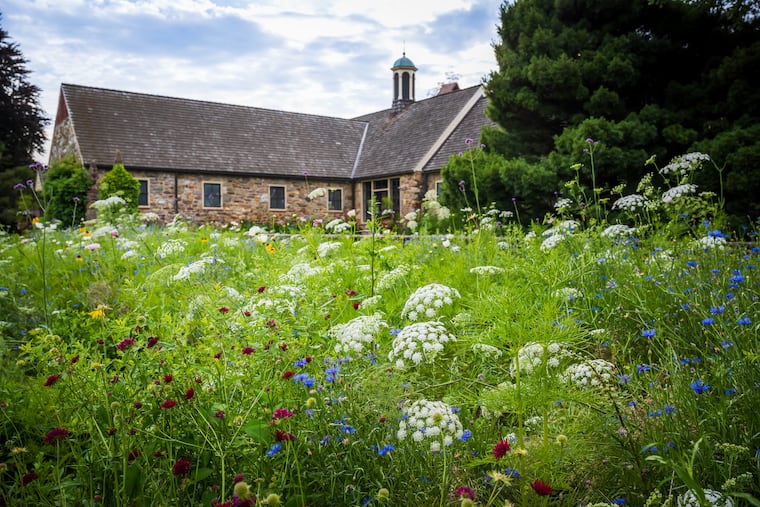 Philly author Nicole Juday and photographer Rob Cardillo reveal the region's most alluring private gardens.