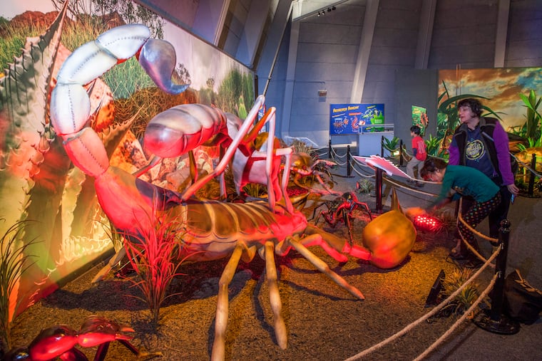 Learn about creepy crawlers at the Academy of Natural Sciences of Drexel Universitys annual Bug Fest.