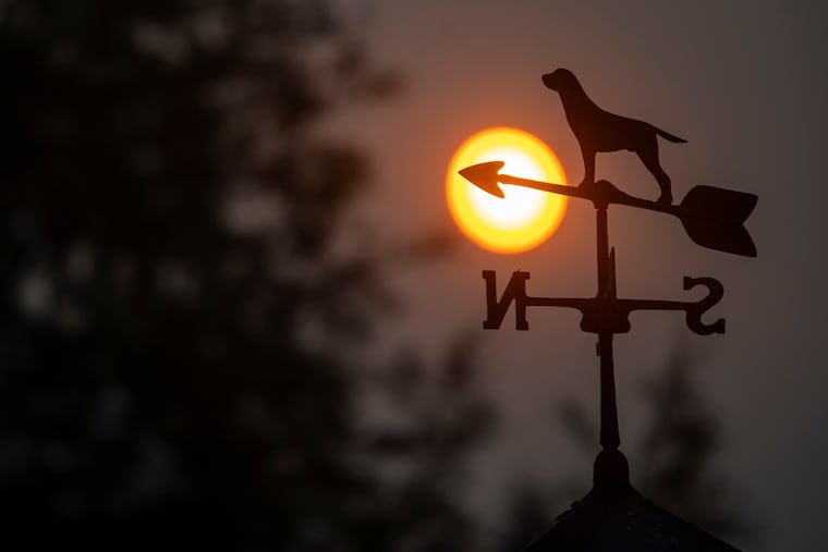 The sun rises on another smoky, hazy day, behind a backyard in Haddonfield on Thursday morning.