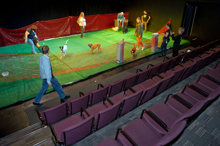 The Proscenium Theatre stage is transformed into a fenced off dog park as part of InterAct Theatre's event "Dramatic Paws: A Day of Dogs Onstage," where they invite their fans and friends, and their canine pals to have the run of the Center City Philadelphia venue on Saturday, June 23, 2018.