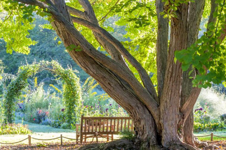 A classic grassy promenade through vine-clad arches and beds overflowing with colorful flowers is the work of Emma Seniuk. (Rob Cardillo/Timber Press)