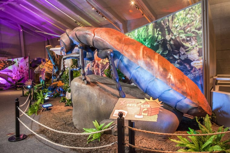 Come face-to-face with a giant Madagascar hissing cockroach at the Academy of Natural Sciences of Drexel University’s newest exhibition.