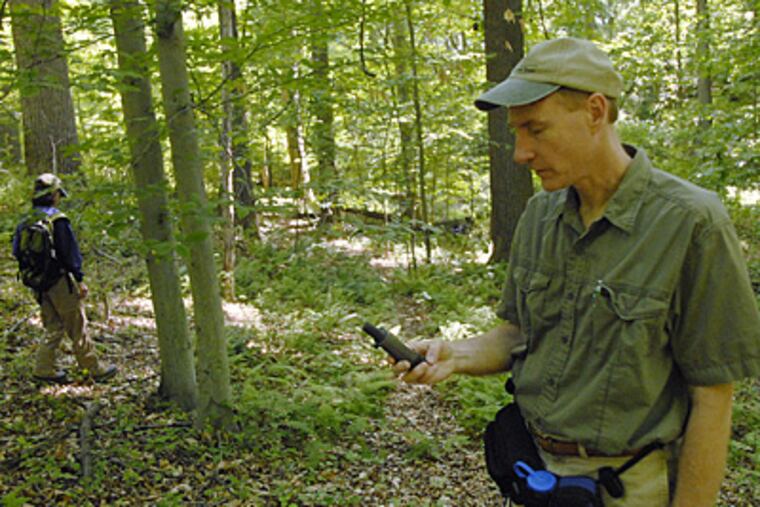 David Steckel marks a plant with GPS coordinates on the grounds of the former Haverford State Hospital. Inspecting the site with him was Andrea Stevens, director of the Center for Conversation Landowners. (Jonathan Wilson/Inquirer)