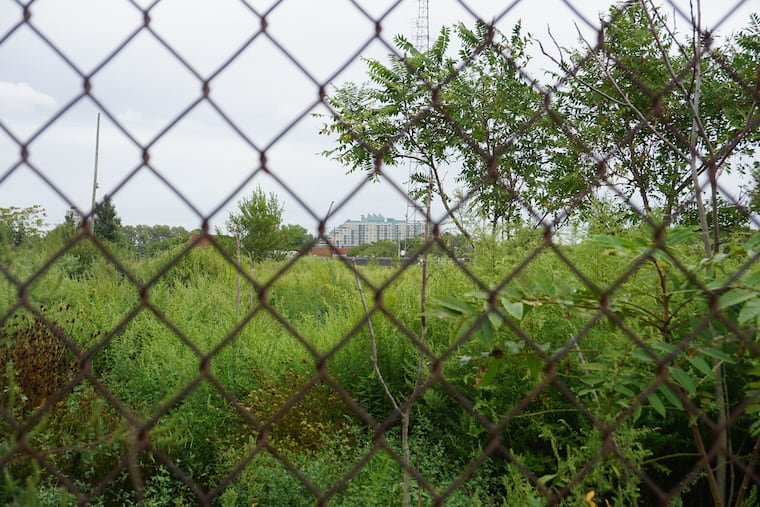 Overgrown lot where developer Bart Blatstein had wanted to build a Wawa convenience store and gas station, seen here from its Tasker Avenue border, with the Dockside condo building in background.