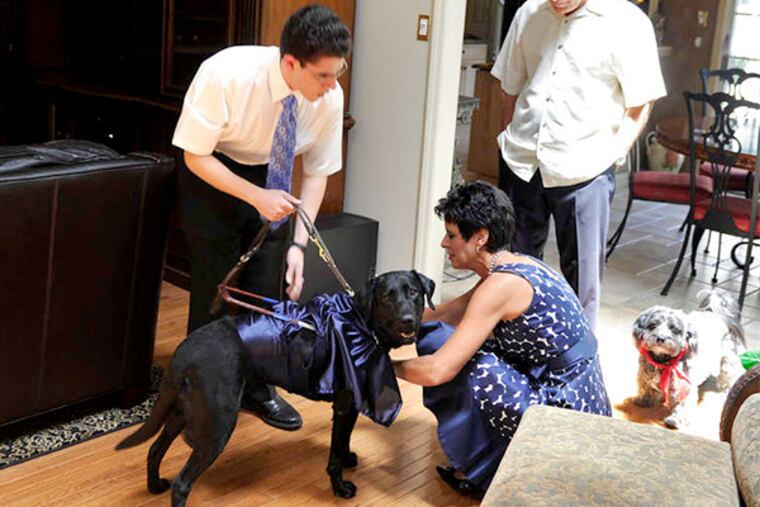 Rocco Fiorentino's mother, Tina, places a graduation gown on Rocco's guide dog, Glamour, under the watchful eyes of (from left) friend Kathy Feast, grandfather Larry Gatta, and his father, also named Rocco.
