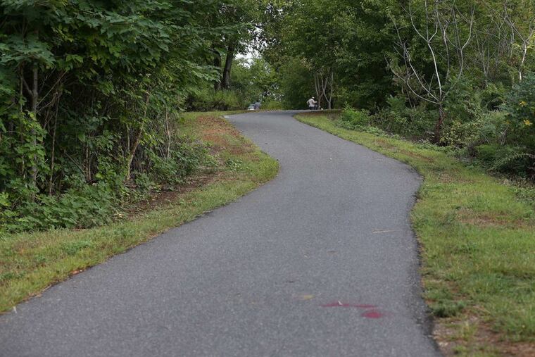 The Delaware River Waterfront Corp. wants to replace a temporary asphalt pathway along the river in South Philadelphia with a landscaped cycling and walking trail.