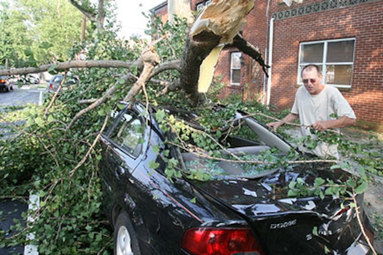 John McCann checks out a woman's car that was crushed by a fallen tree on the 1700 block of Moyamensing St. in South Philadelphia. (Charles Fox / Staff Photographer)