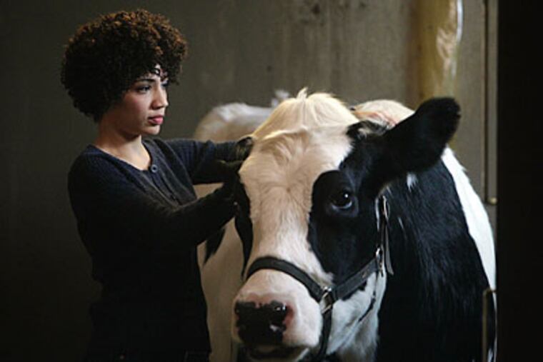 "Fringe's" Jasika Nicole, who stars as Astrid, with a cow that's been replaced.