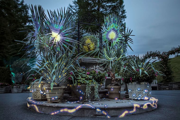 "Nightscape," a two-hour Longwood Gardens experience.