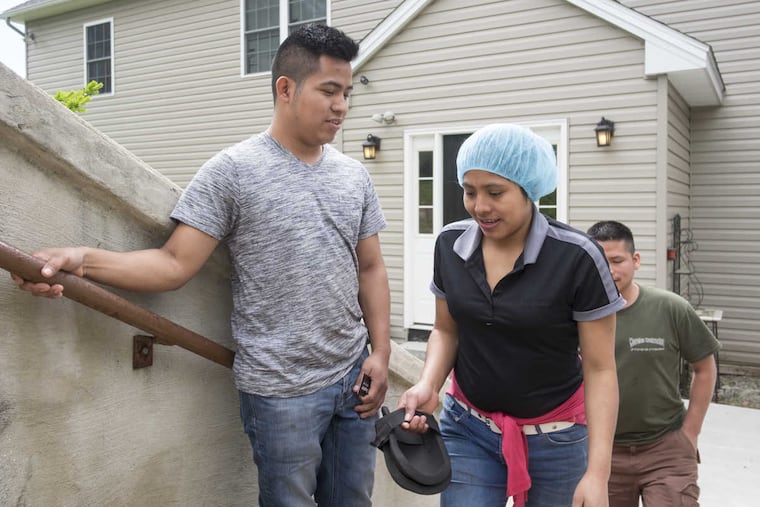 Last week's group arrest at a Kennett mushroom farm was the first workplace raid by ICE in mushroom country since the 1990s, some lawyers say - a sign of new enforcement priorities in the era of President Trump.