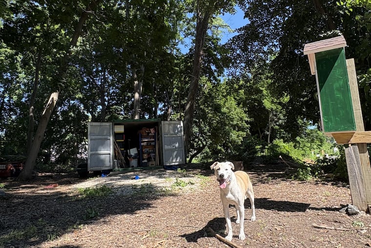 A dog stands in front of the Northwest Tool Library, which will open on Aug. 16.