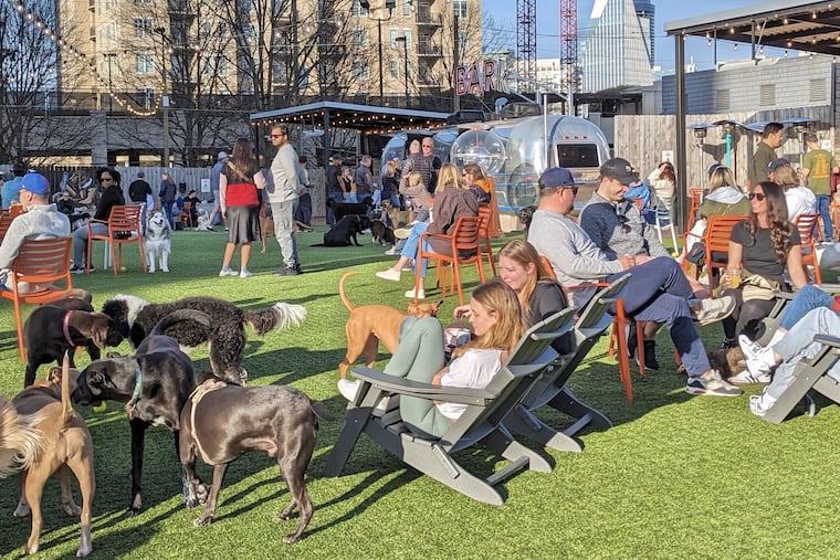 A Fetch Park location in Georgia, where the dog park opened its first location in 2018.
