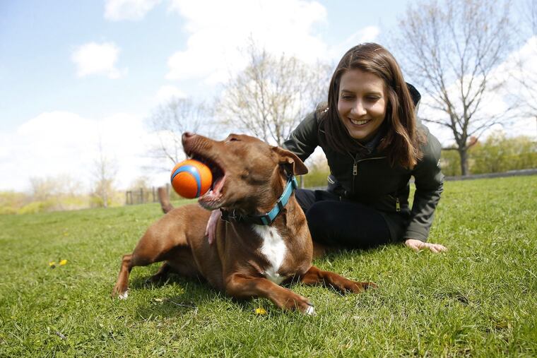 Christina Hunger's dog, Stella, plays at Gregory Island Dog Park in North Aurora, Ill. Hunger is a speech-language pathologist who developed a system for her dog to "talk" to her.