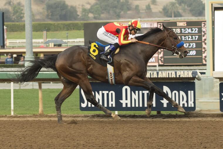 McKinzie and jockey Mike Smith win the Grade III, $100,000 Sham Stakes, Saturday, January 6, 2018 at Santa Anita Park.