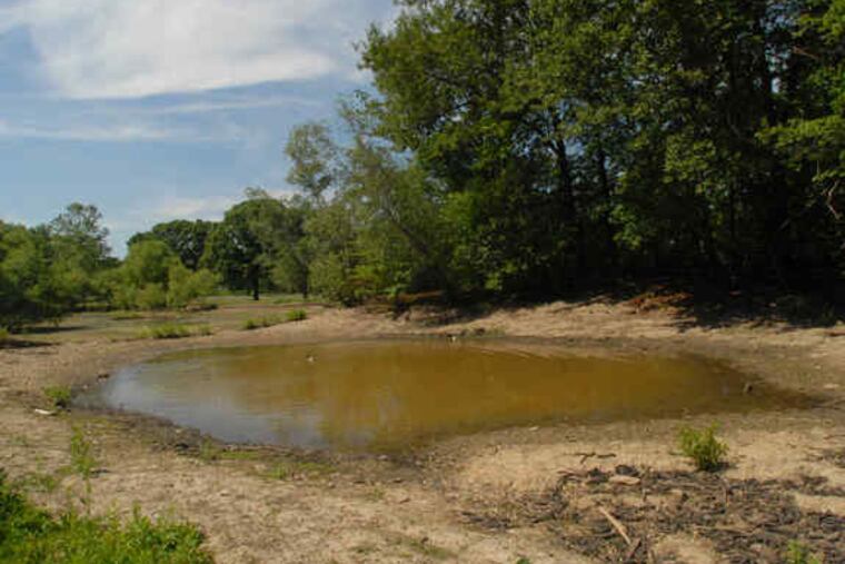 This filtration pool at Concourse Lake helps clean the water on its way to the Schuylkill. Three pools were added and the lake was dredged in August, and now work will start on an eight-foot-wide asphalt path to take visitors on a loop around the lake and lawns.
