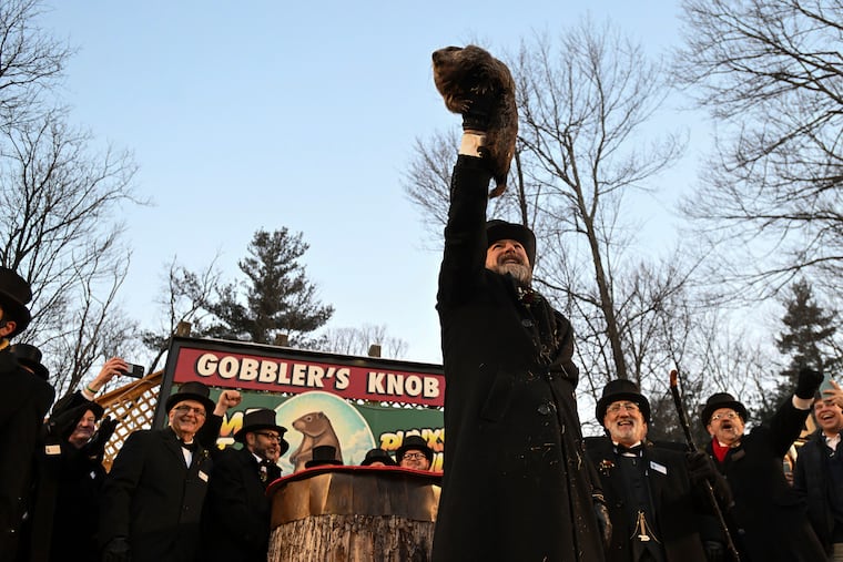 Groundhog Club handler A.J. Dereume holds Punxsutawney Phil during the 137th celebration of Groundhog Day on Gobbler's Knob in Punxsutawney.